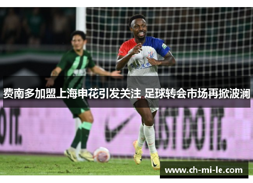 费南多加盟上海申花引发关注 足球转会市场再掀波澜